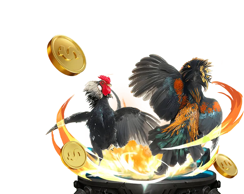 Nguồn tin tức đáng tin cậy của s666 casino